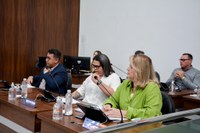 Nove projetos serão analisados na próxima Sessão